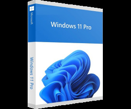 Microsoft Windows 11 Pro SK 64Bit OEM  DVD, FQC-10550