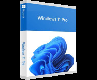 Microsoft Windows 11 Pro SK 64Bit OEM  DVD, FQC-10550