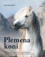 Plemena koní - cena, porovnanie