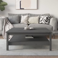 vidaXL Konferenčný stolík sivý 100x50x40 cm borovicový masív - cena, porovnanie
