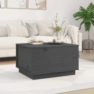 vidaXL Konferenčný stolík sivý 60x50x35 cm borovicový masív - cena, porovnanie