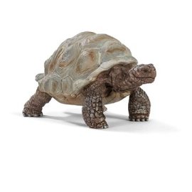 Schleich 14824 Korytnačka obrovská