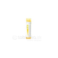 Boiron Aloe Socotrina CH15 4g - cena, porovnanie