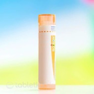 Boiron Sulfuricum Acidum CH15 4g - cena, porovnanie