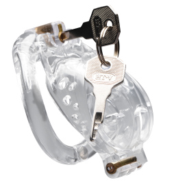 Master Series Double Lockdown Locking Customizable Chastity Cage