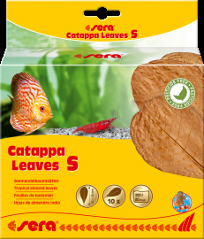 Sera Catappa Leaves S 10ks