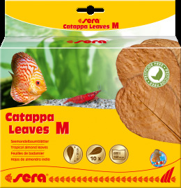 Sera Catappa Leaves M 10ks