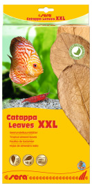 Sera Catappa Leaves XXL 10ks