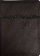 Bible - překlad 21. století - hnědá - cena, porovnanie