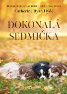 Dokonalá sedmička - cena, porovnanie