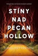 Stíny nad Pecan Hollow - cena, porovnanie