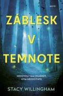 Záblesk v temnote - cena, porovnanie