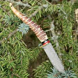 Kandar Poľovnícky nôž 24/9cm