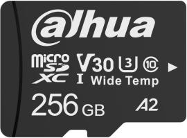 Dahua TF-W100-256GB