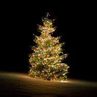 Deltaco Osvetlenie vianočného stromčeka, RGB - cena, porovnanie