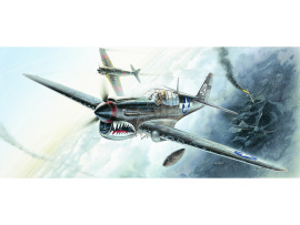 Academy Games Curtiss P-40M/N 1:72