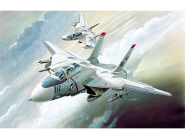 Academy Games Grumman F-14 Tomcat 1:144