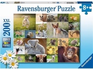 Ravensburger Koláž zvieracích mláďat 200ks - cena, porovnanie