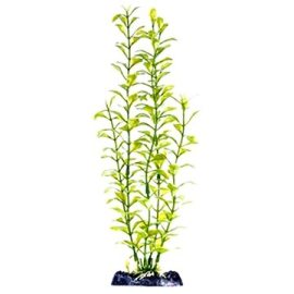 Penn Plax Blooming Ludwigia Green 33 cm