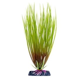 Penn Plax Hair Grass 22 cm