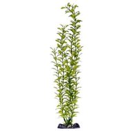 Penn Plax Blooming Ludwigia Green Super 45,5 cm - cena, porovnanie