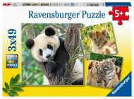 Ravensburger Panda, tiger a lev 3x49ks - cena, porovnanie
