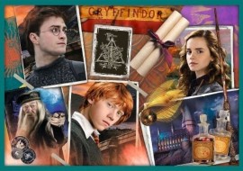 Trefl Puzzle 10v1 - Vo svete Harryho Pottera