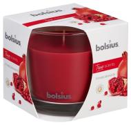 Bolsius Jar True Scents 95/95 mm, granátové jablko - cena, porovnanie