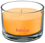 Bolsius Jar True Scents 63/90 mm, mango - cena, porovnanie