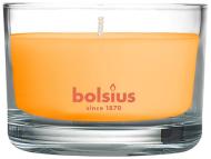 Bolsius Jar True Scents 50/80 mm, mango - cena, porovnanie