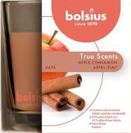 Bolsius Jar True Scents 95/95 mm, škorica/jablko - cena, porovnanie
