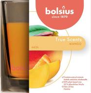 Bolsius Jar True Scents 95/95 mm, mango - cena, porovnanie