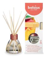 Bolsius Difuzér True Scent, mango, 45 ml - cena, porovnanie