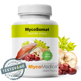 MycoMedica MycoSomat 90tbl