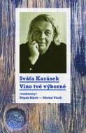 Víno tvé výborné /rozhovory Štěpán Hájek a Michal Plzák/ - cena, porovnanie