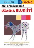 Úžasná bludiště - Můj pracovní sešit - cena, porovnanie