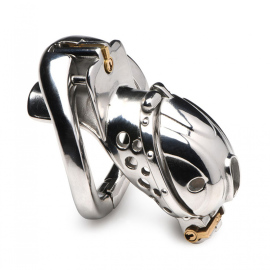 Master Series Deluxe Locking Chastity Cage