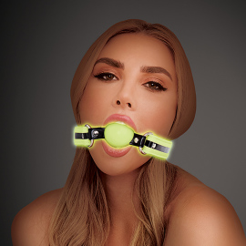 Whipsmart GiD Silicone Ball Gag