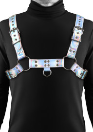 NS Novelties Cosmo Harness Dare