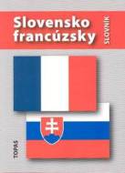 Slovensko-francúzsky slovník - cena, porovnanie