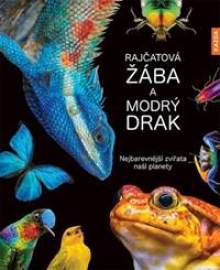 Rajčatová žába a modrý drak - Nejbarevnější zvířata naší planety