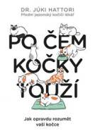 Po čem kočky touží? Ilustrovaný lidsko-kočičí slovník - cena, porovnanie