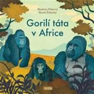 Gorilí táta v Africe - cena, porovnanie