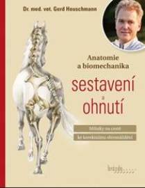 Anatomie a biomechanika sestavení a ohnutí