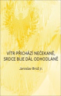 Vítr přichází nečekaně, srdce bije dál odhodlaně - cena, porovnanie