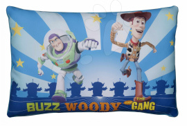Ilanit Vankúšik Toy Story 40x26 cm