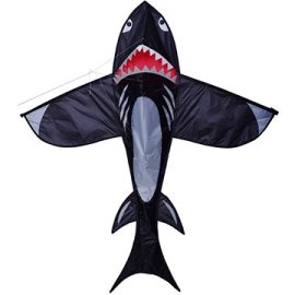 Chiroo Šarkan žralok sivý