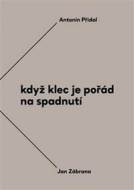 Když klec je pořád na spadnutí - cena, porovnanie