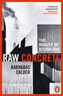 Raw Concrete - cena, porovnanie
