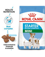 Royal Canin Mini Starter Mother & Babydog 4kg - cena, porovnanie